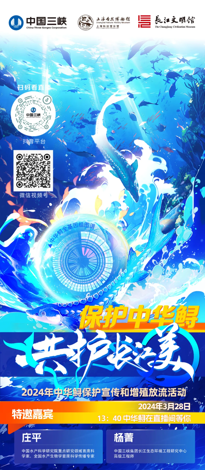 三条1