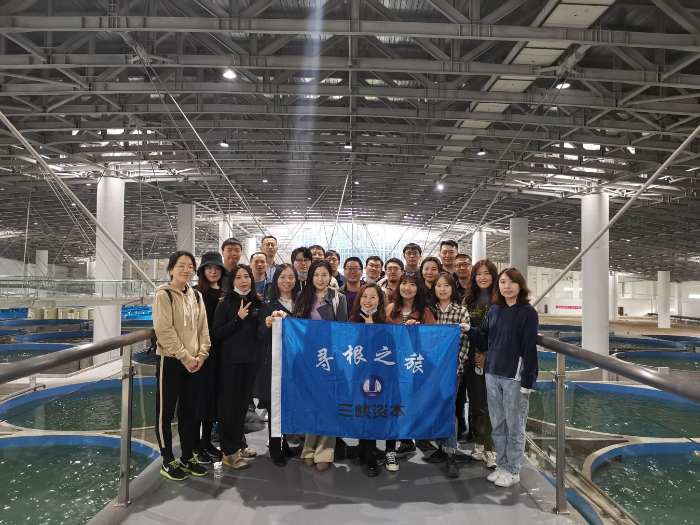 图片16